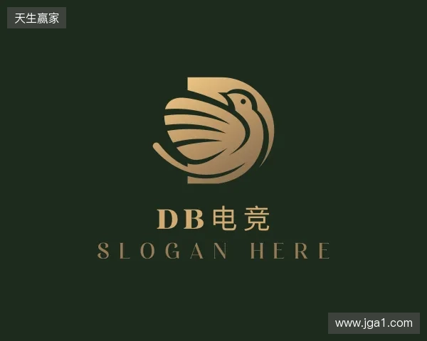 关于DB电竞官网